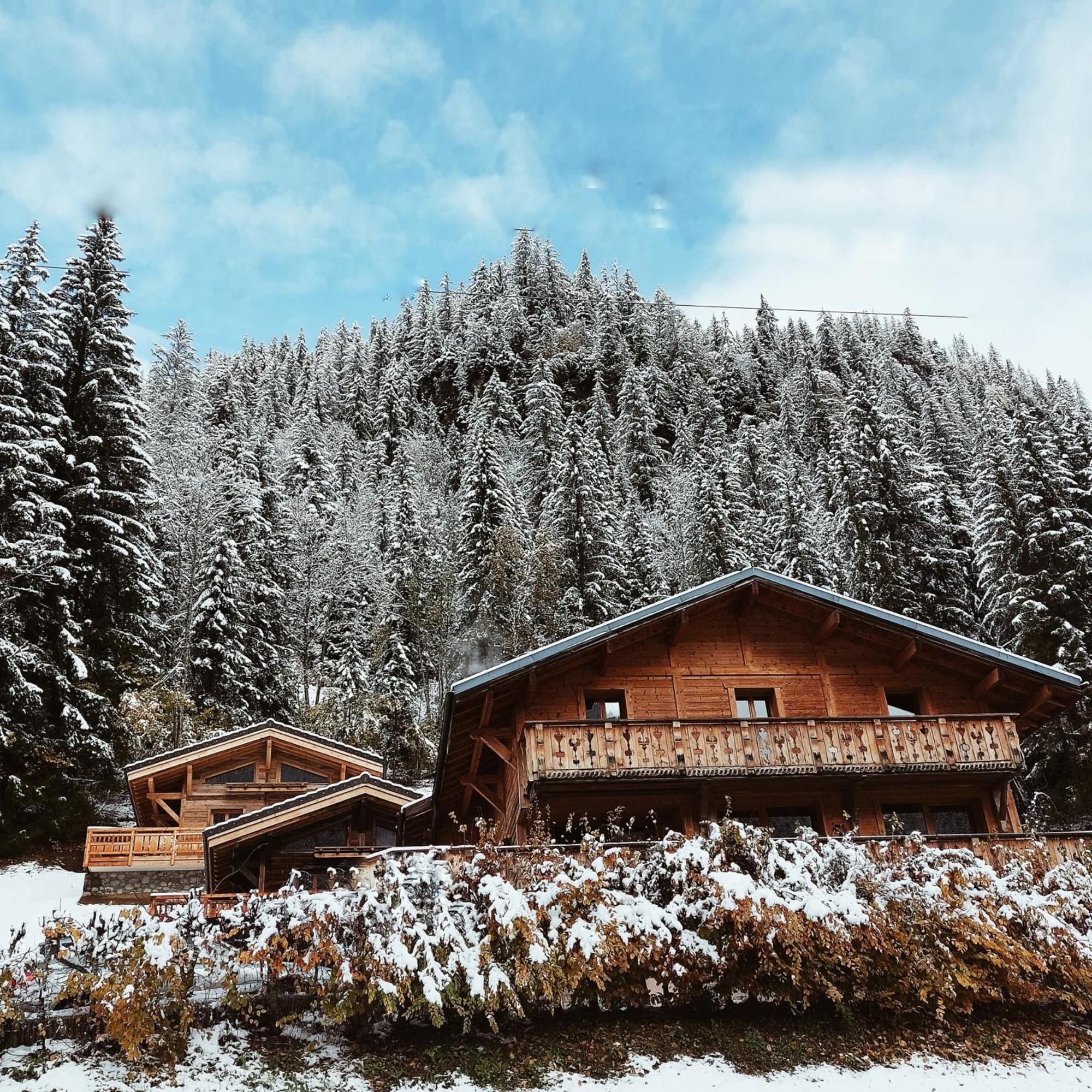 Savoya Lodges Châtel Buitenkant foto